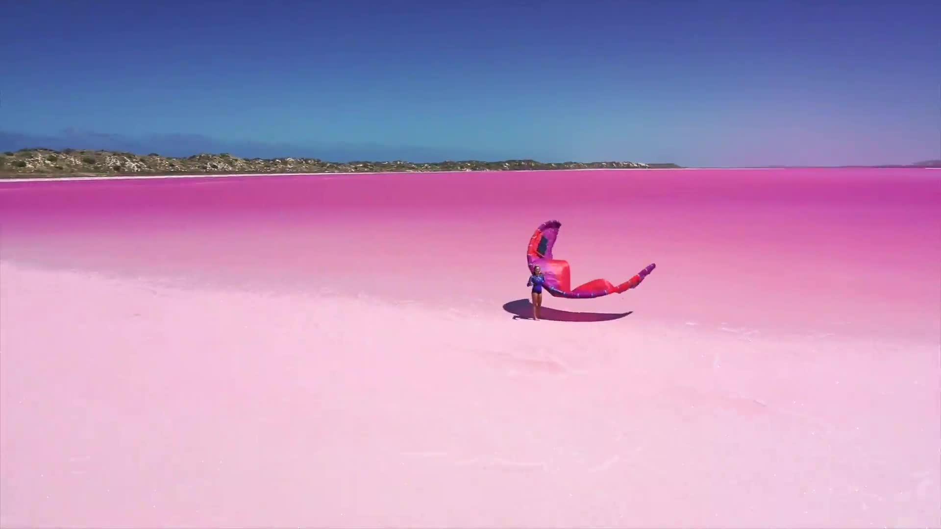 粉色的海视频的预览图