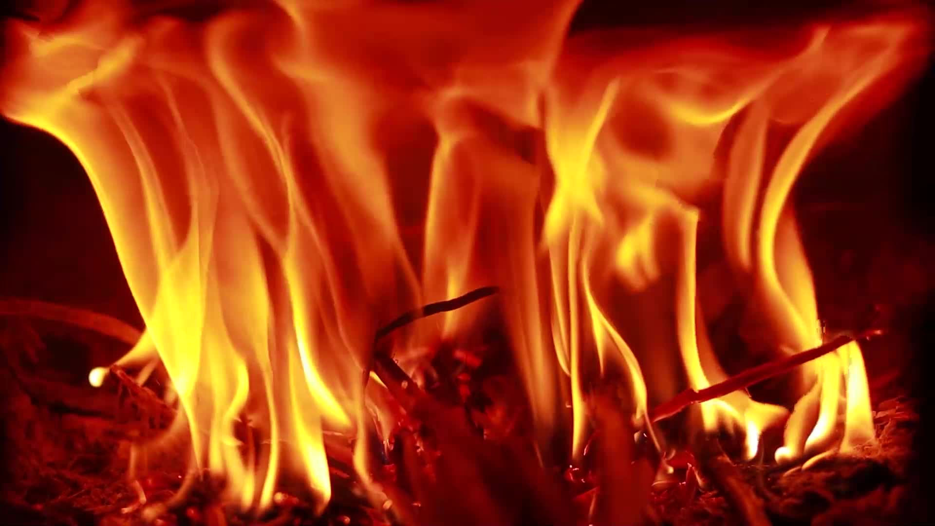火焰燃烧的火焰柴火视频的预览图