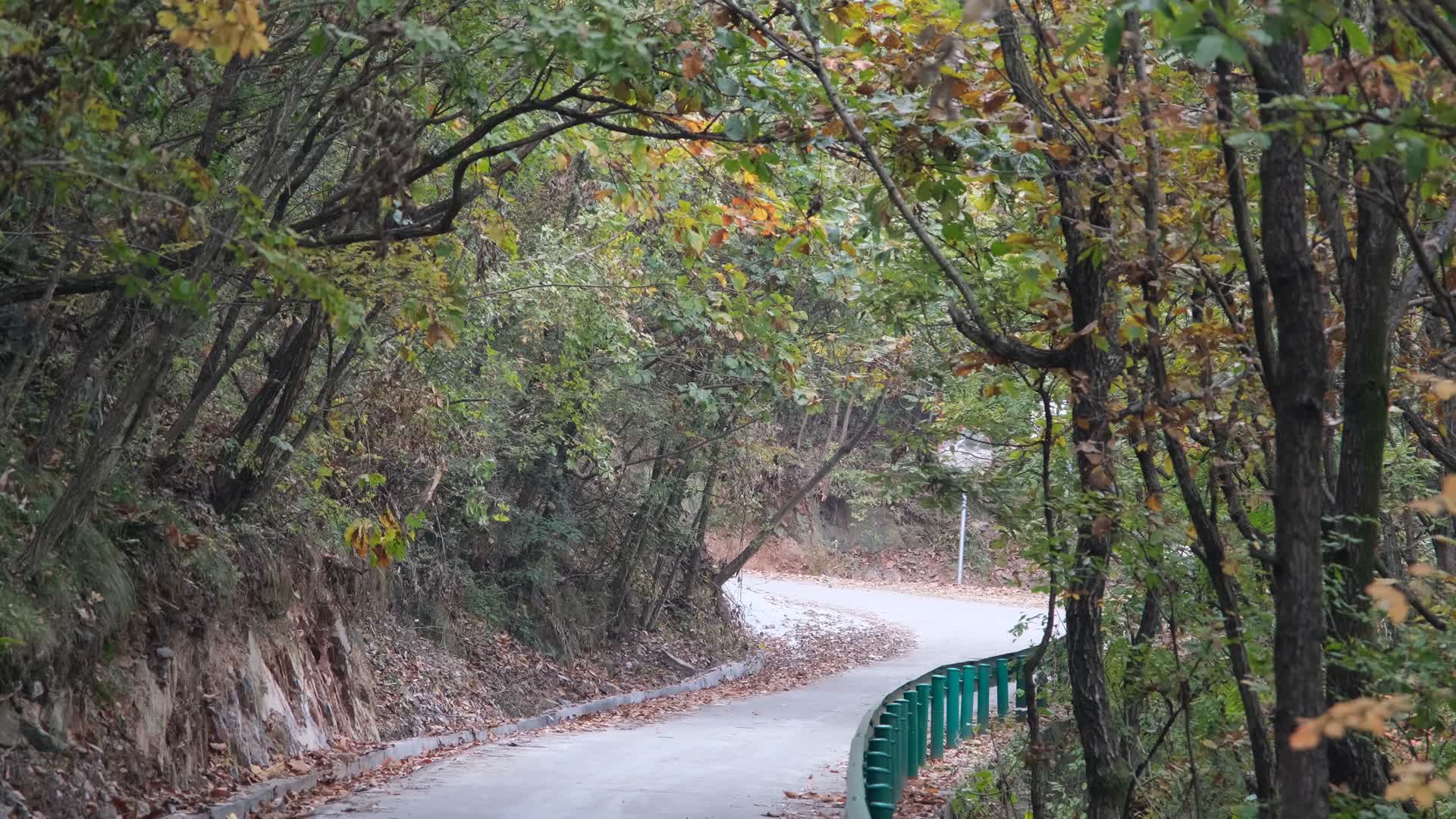 秋天山林中的小路视频的预览图
