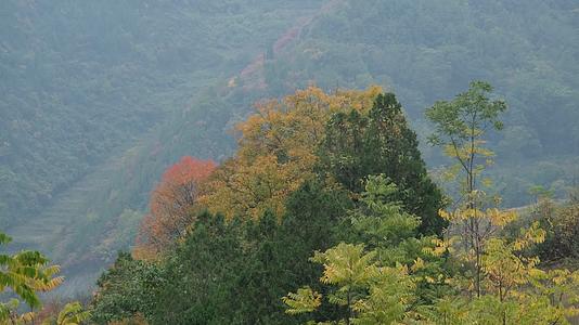秋天山谷中的山村视频的预览图