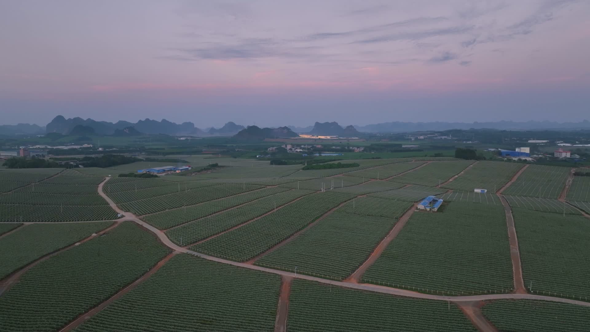 4K航拍贵州清晨朝霞火龙果园视频的预览图