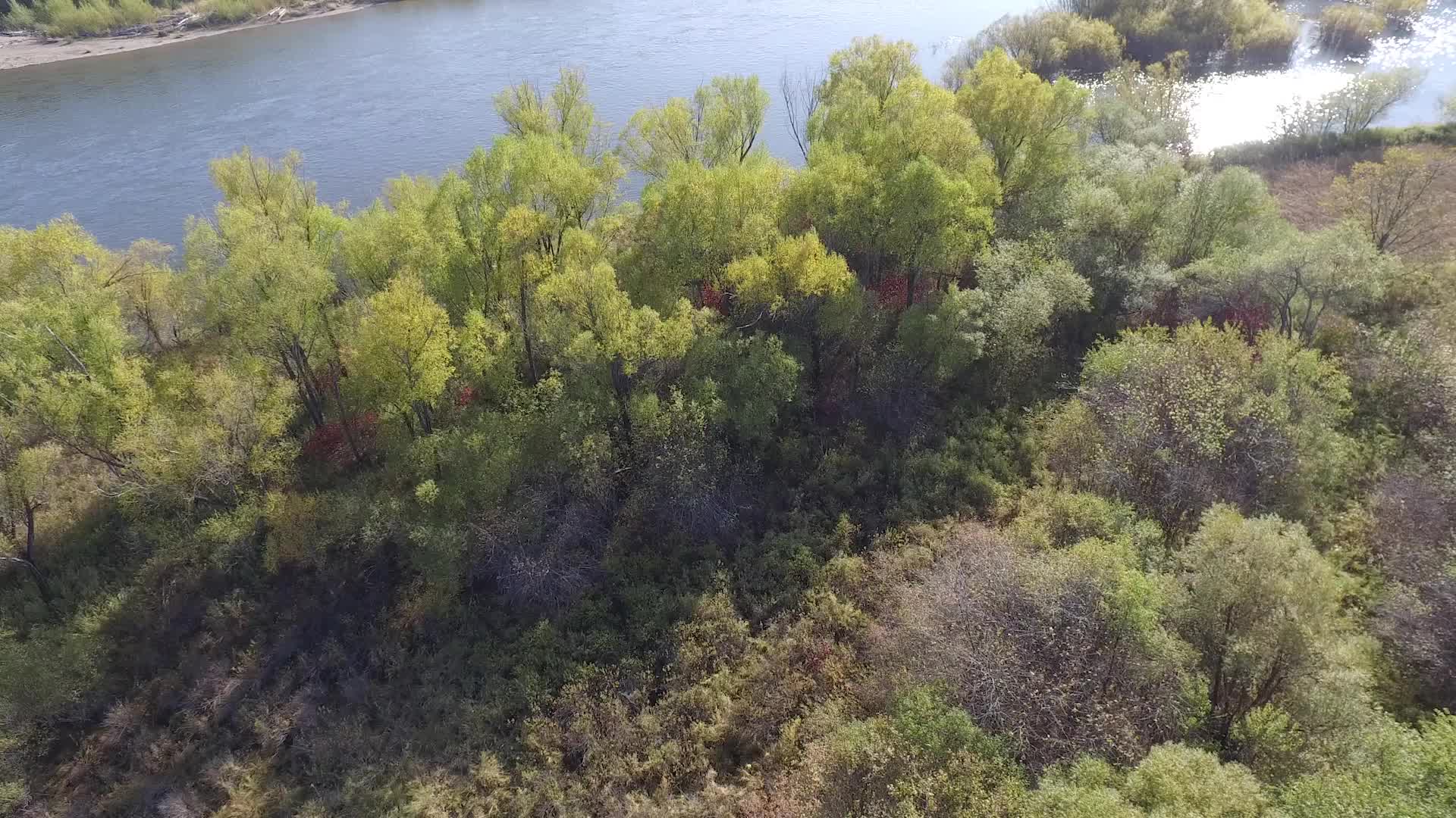黑水兴安十八站航拍森林与河视频的预览图