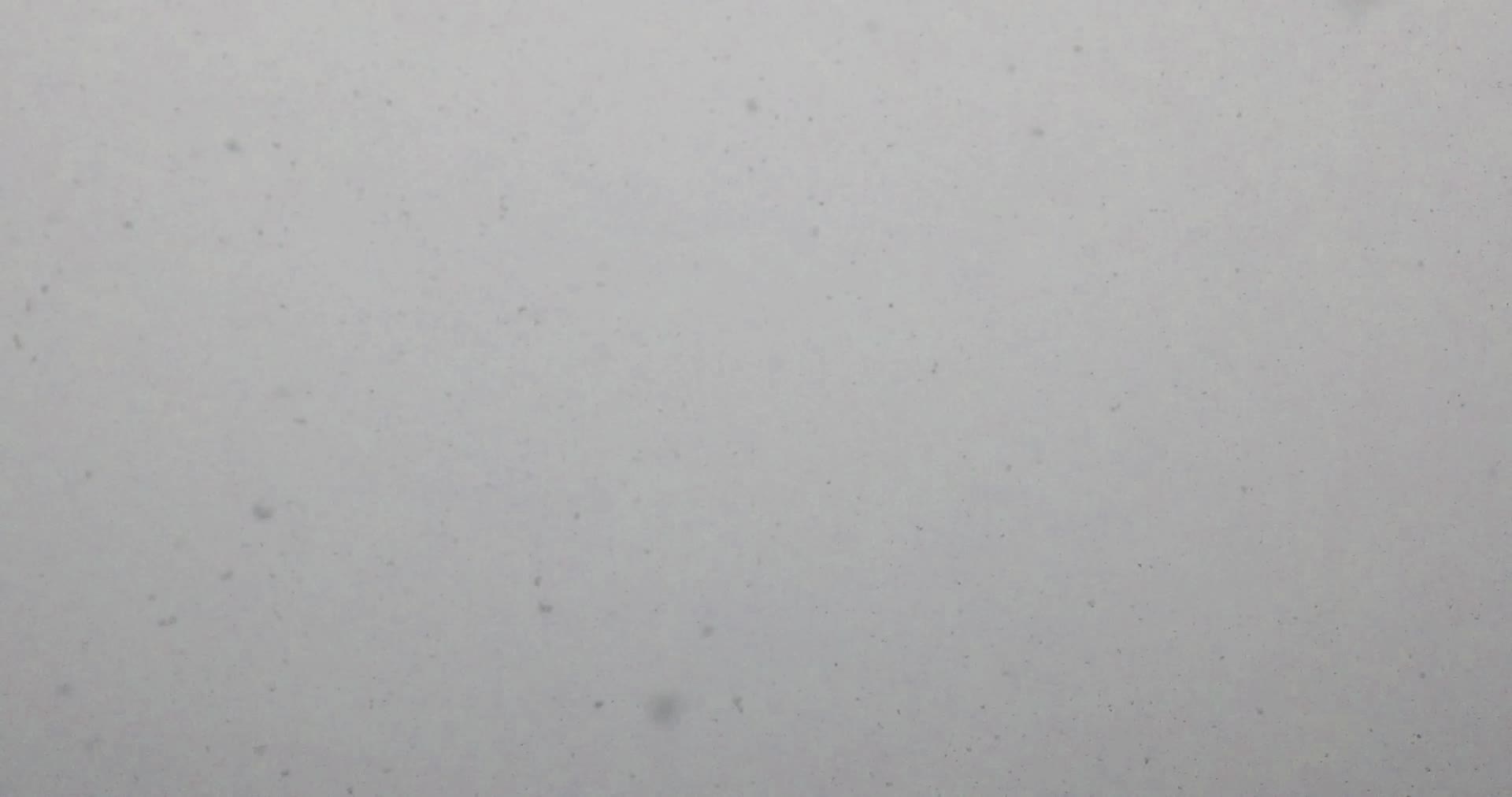 西宁机场雪景慢动作雪花鹅毛大雪航站楼塔台视频的预览图