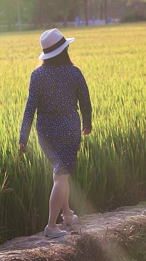 一个时尚女人走在黄昏田野小路背影合集视频的预览图
