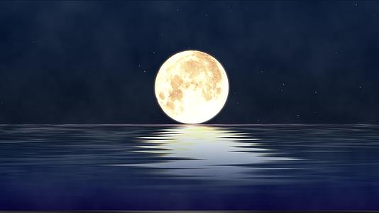 海上生明月视频的预览图
