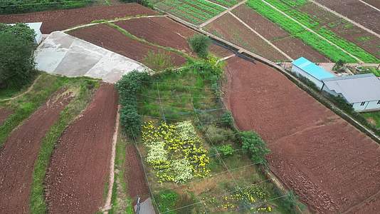 三农大田主题航拍绿色农田种植基地视频的预览图