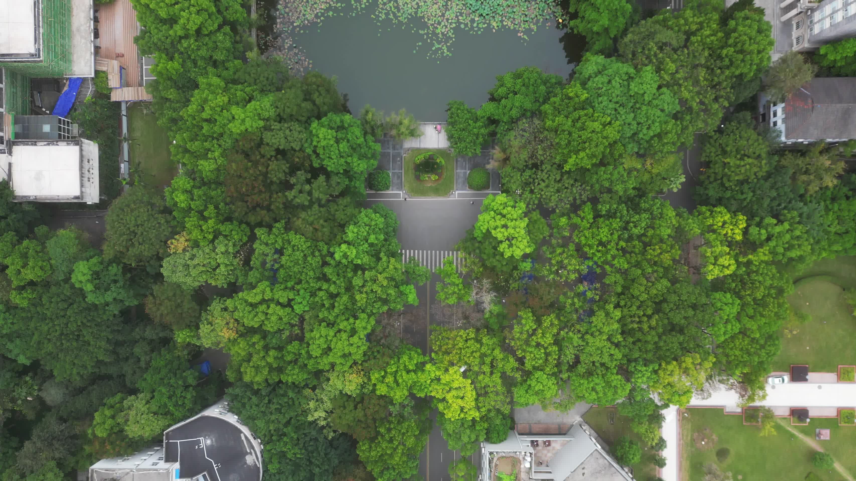 重庆北碚西南大学共青团花园景观航拍视频的预览图