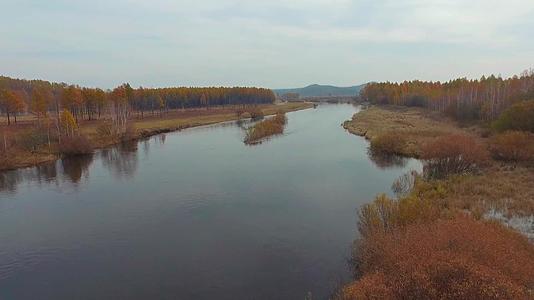 黑水兴安松岭南瓮河湿地航拍视频的预览图