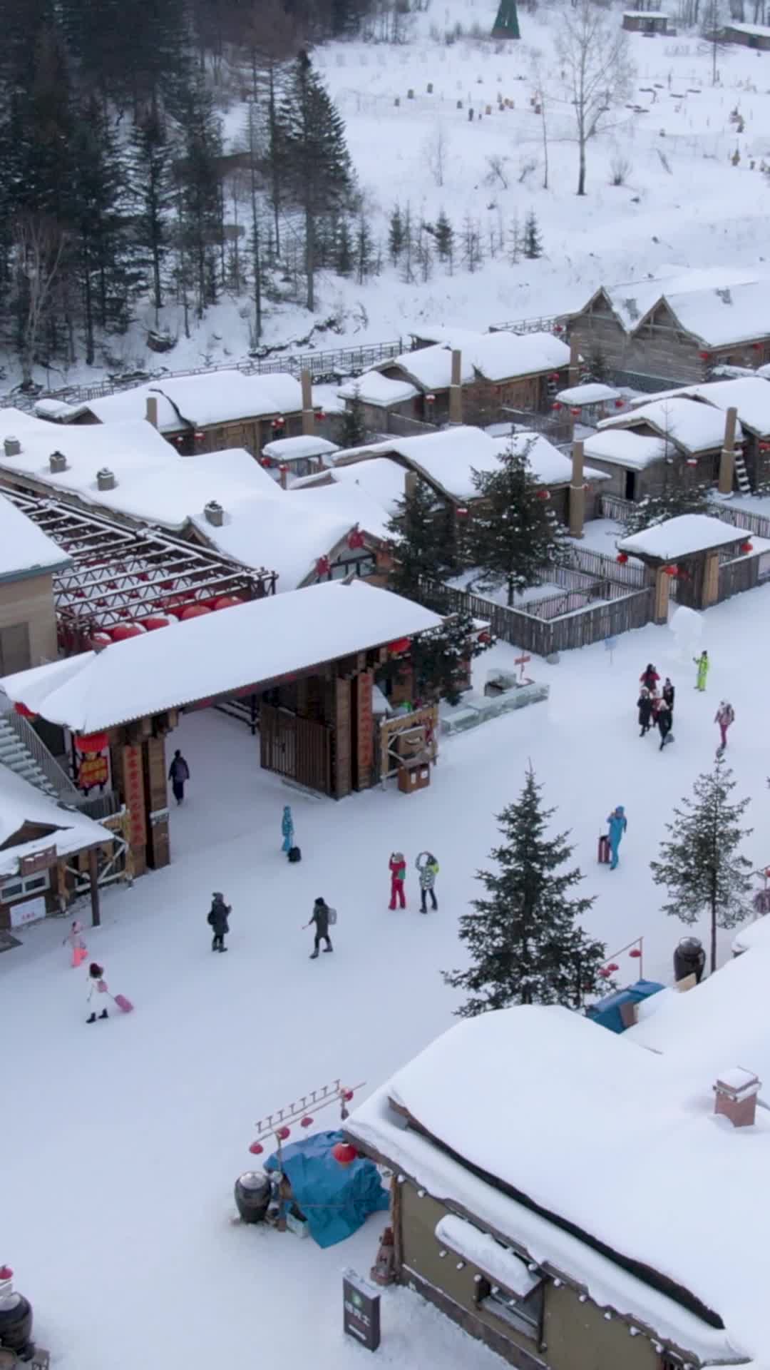 高清竖屏环绕航拍大雪下的村庄视频的预览图