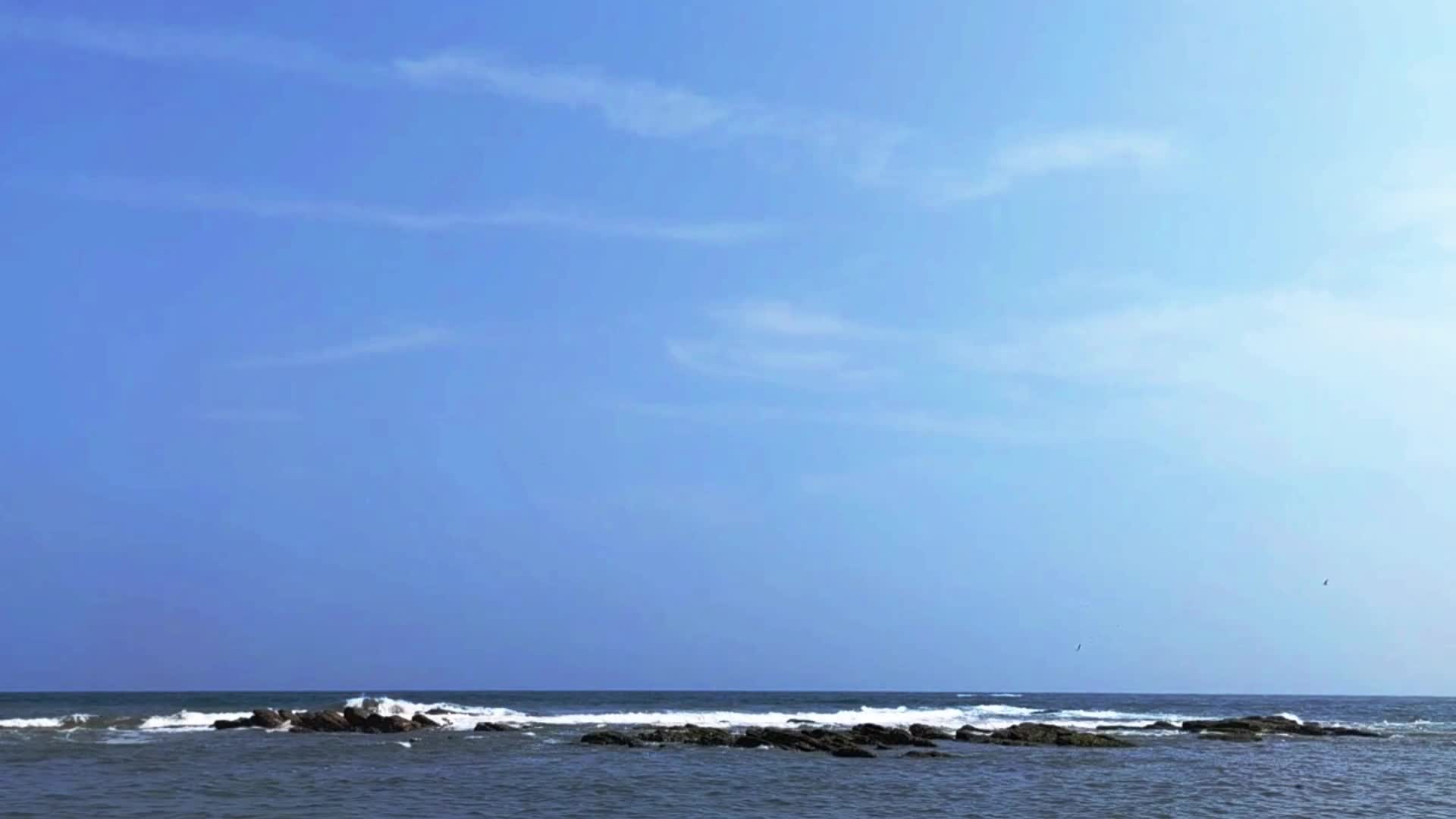 海浪大海视频的预览图