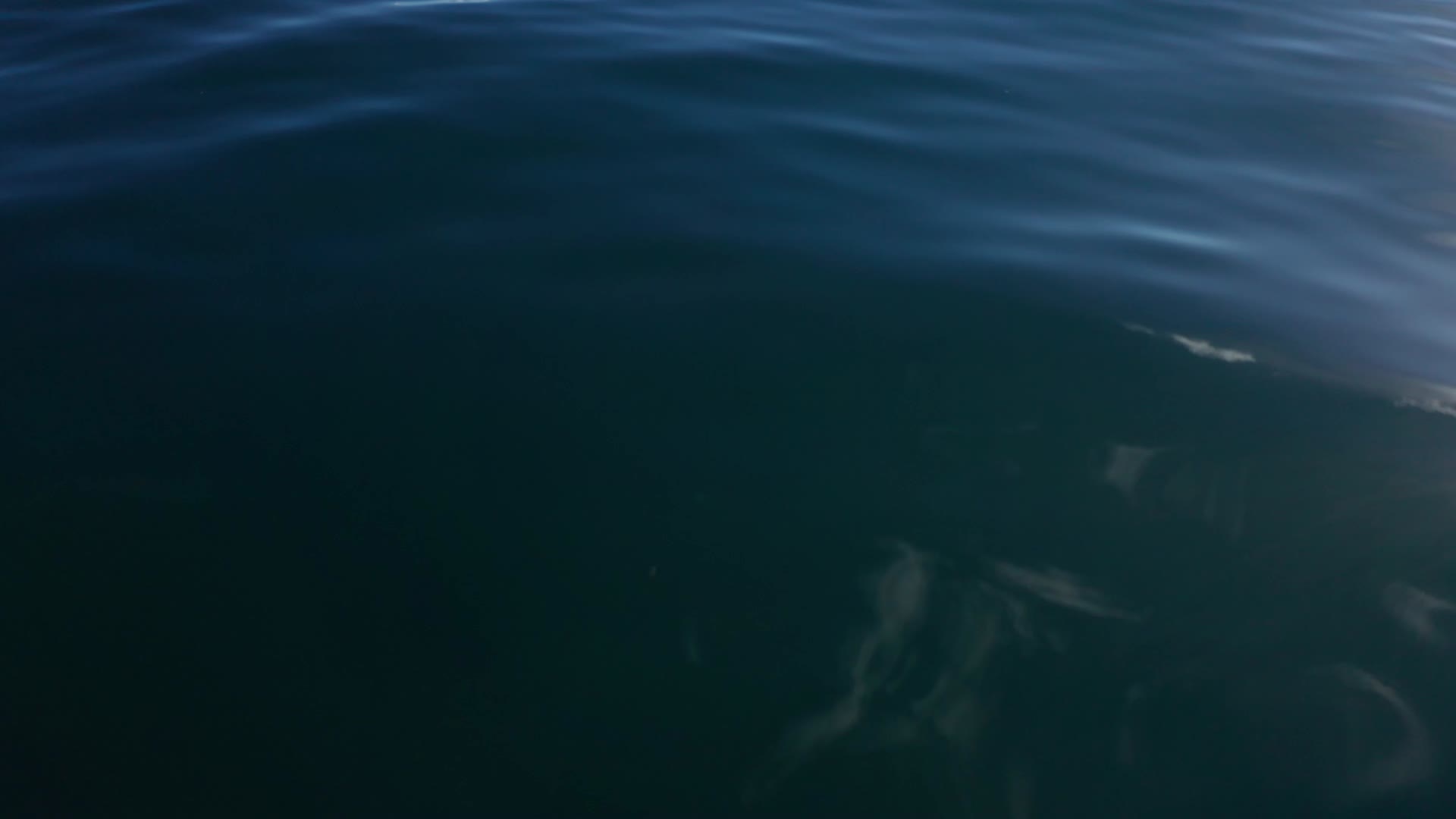 无人机贴近水面拍摄纳木错湖视频的预览图