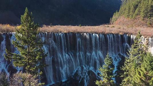 航拍秋天的九寨沟诺日朗瀑布和珍珠滩瀑布视频的预览图
