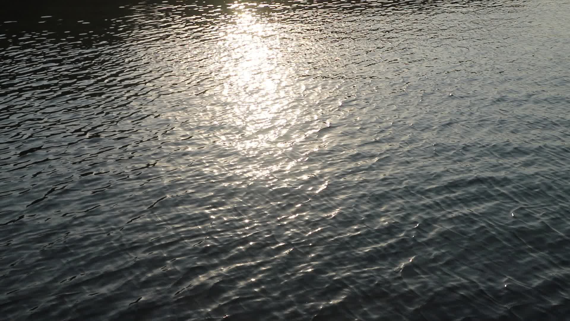 夕阳下波光粼粼的湖面视频的预览图