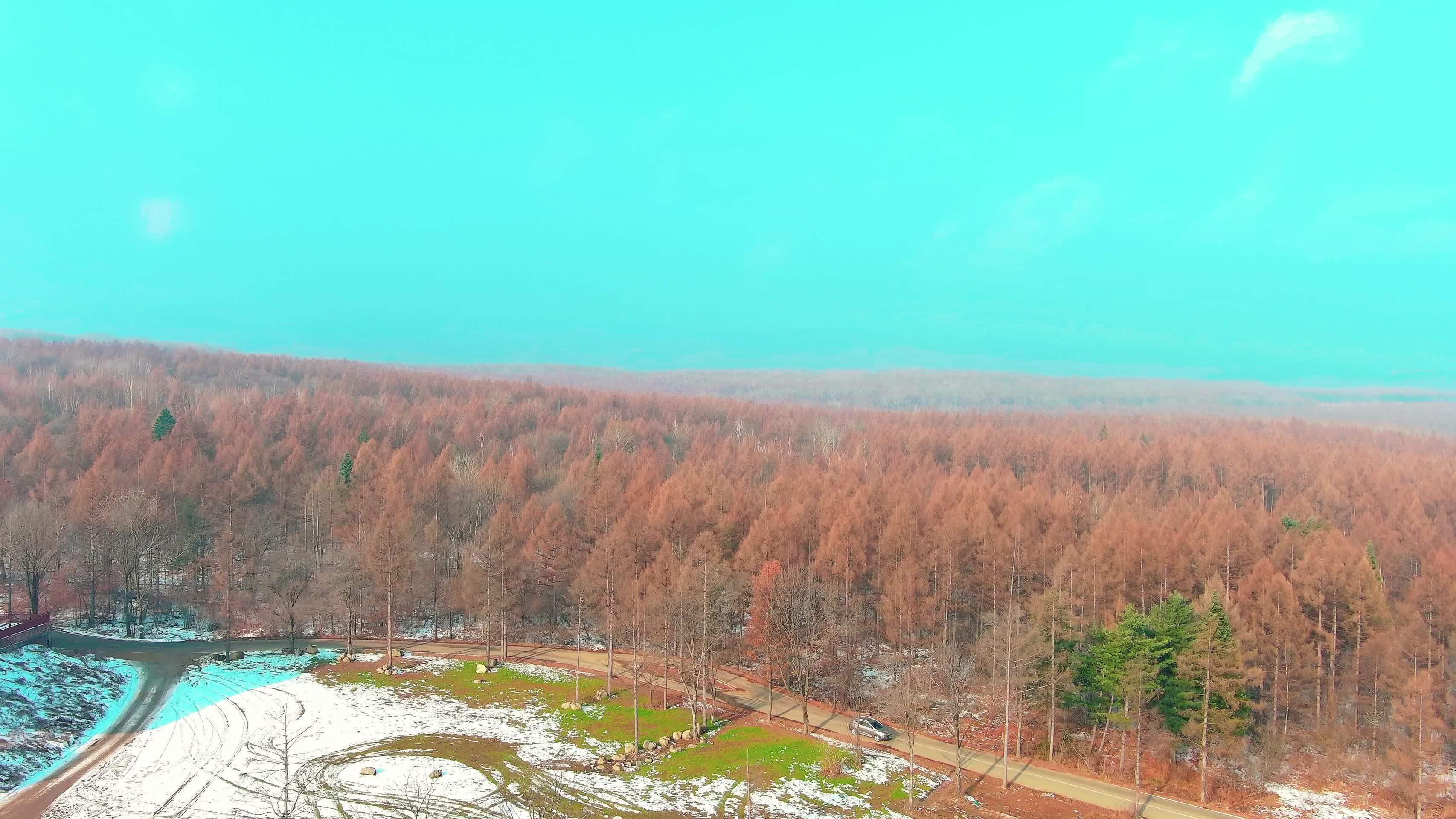 航拍长白山树林视频的预览图
