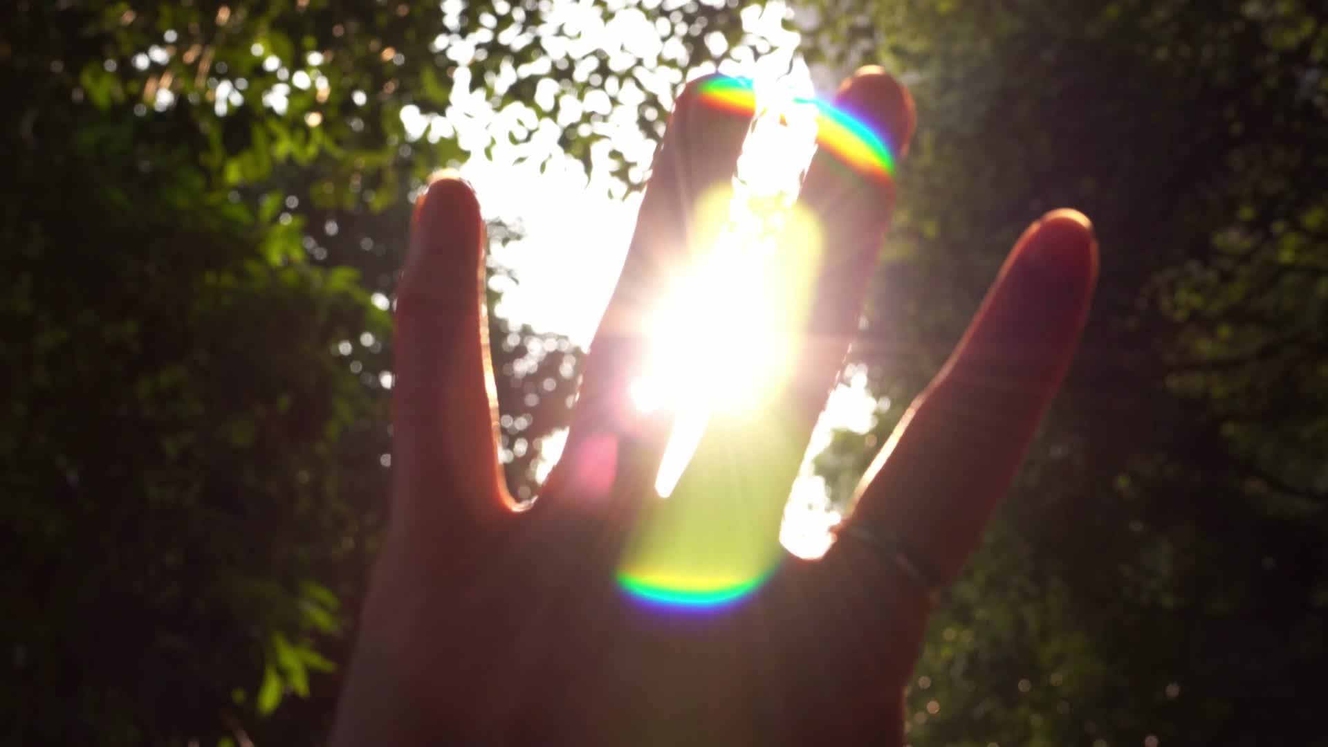4K指缝阳光意境夕阳唯美阳光手摸阳光视频的预览图