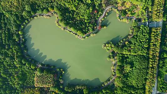 上海金山区蝶镜湖公园航拍4K视频的预览图