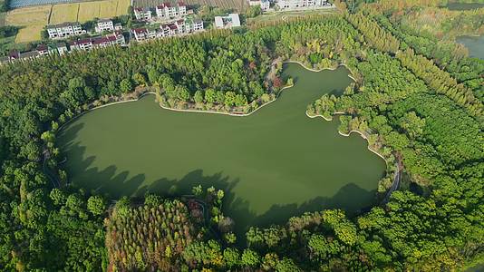 上海金山区蝶镜湖公园航拍4K视频的预览图