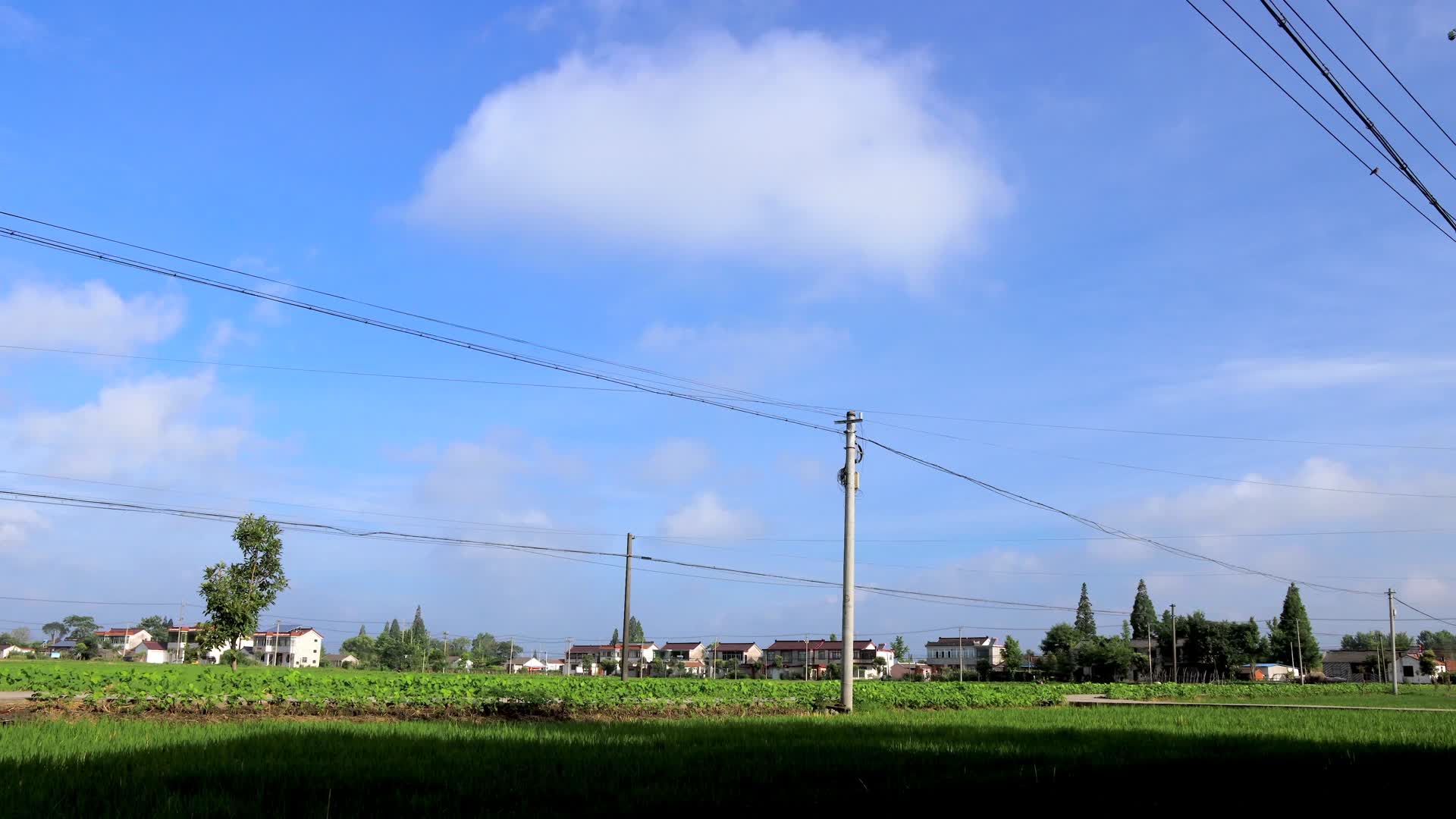 夏日上午绿色农田和蓝天白云4K延时视频的预览图