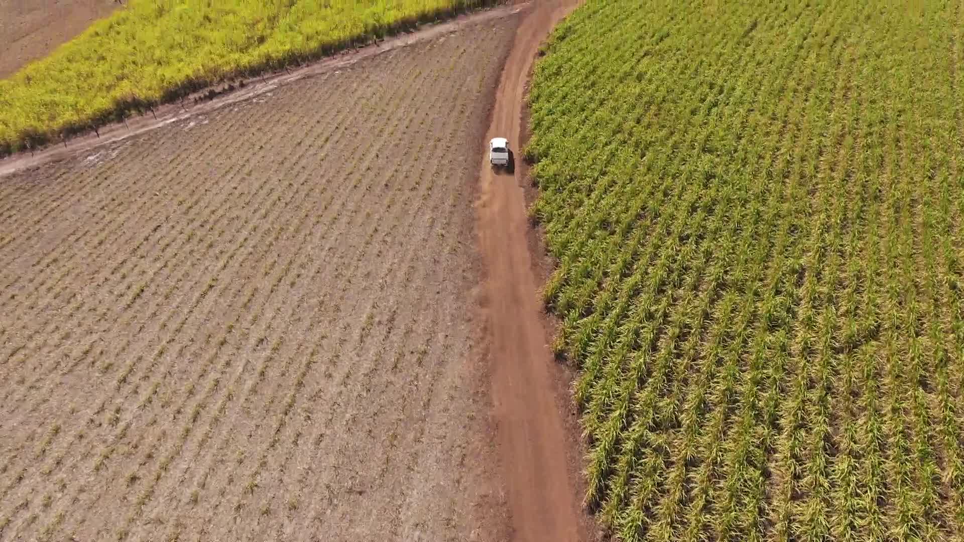 航拍巴西大豆田车辆行驶在农田中视频的预览图