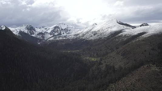 香格里拉白马雪山视频的预览图