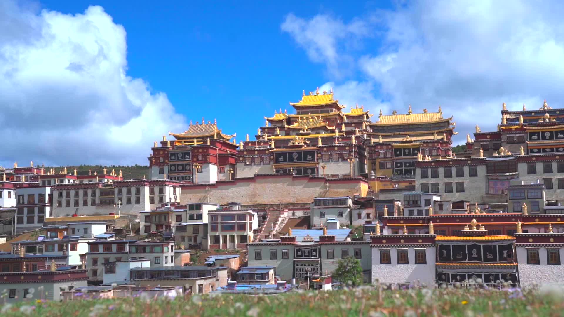 香格里拉松赞林寺视频的预览图