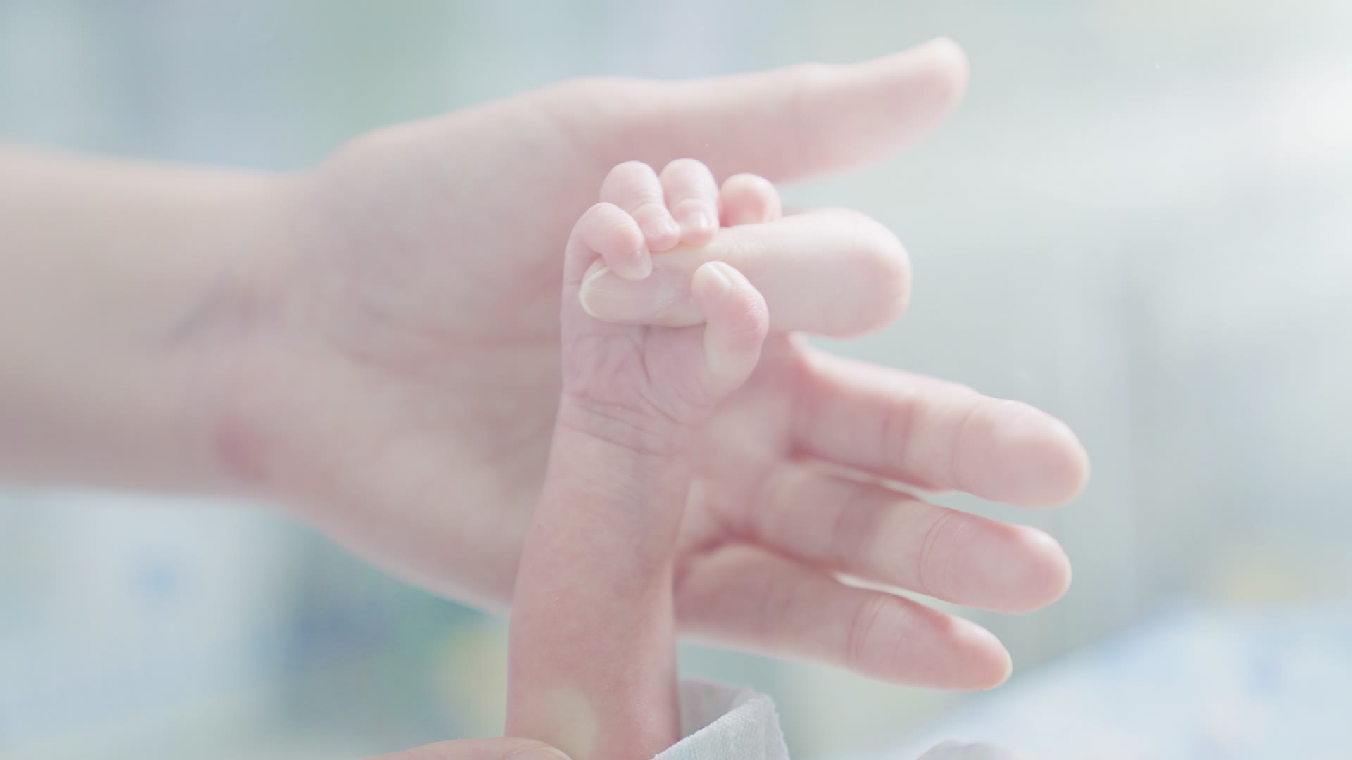 牵新生婴儿的手视频的预览图