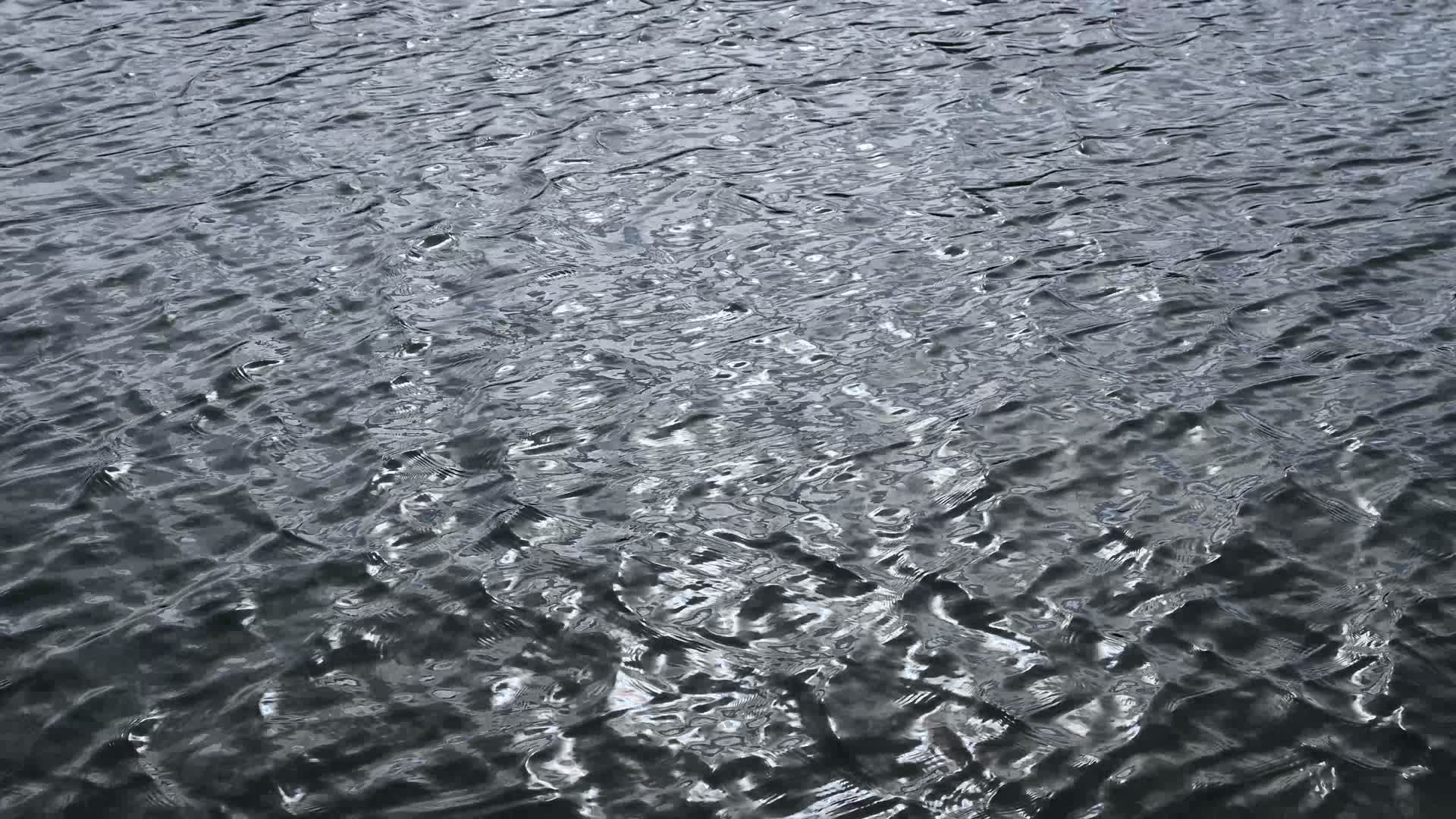冬天湖面水波荡漾流动视频的预览图