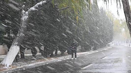 冬天大雪纷飞一个人行走在街道上的慢镜头视频的预览图