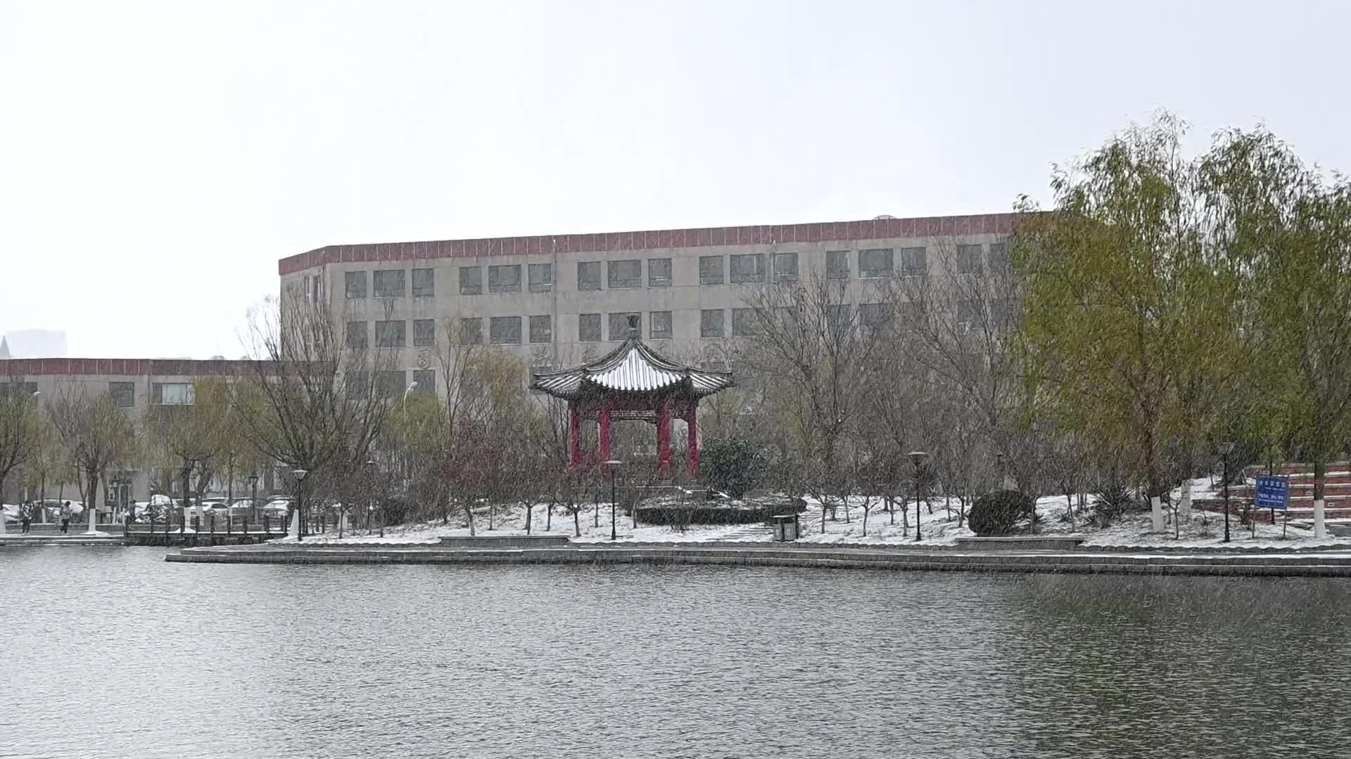 冬天初雪大雪纷飞湖边古亭视频的预览图