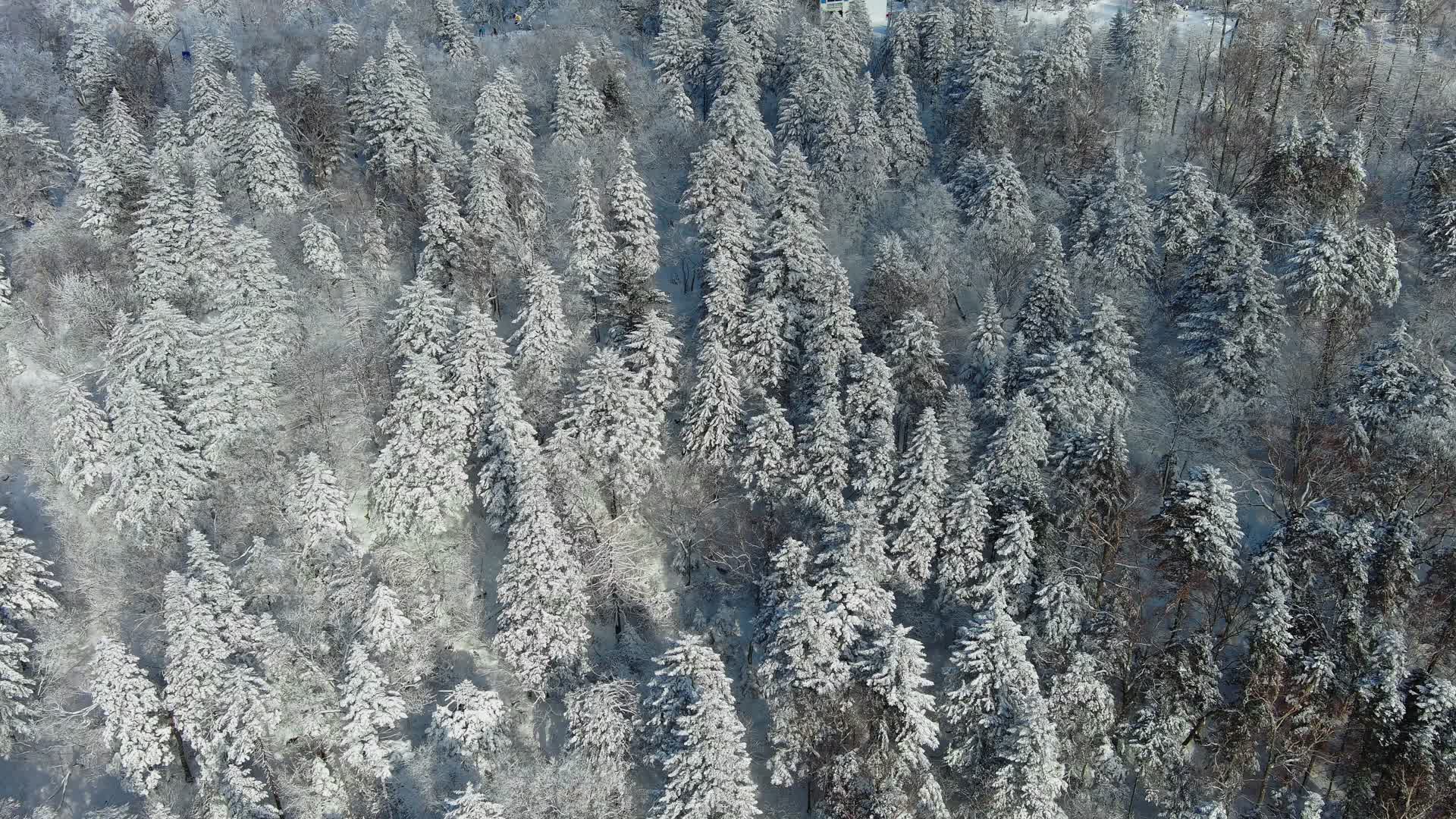 航拍北大壶滑雪场G索山顶雪道视频的预览图