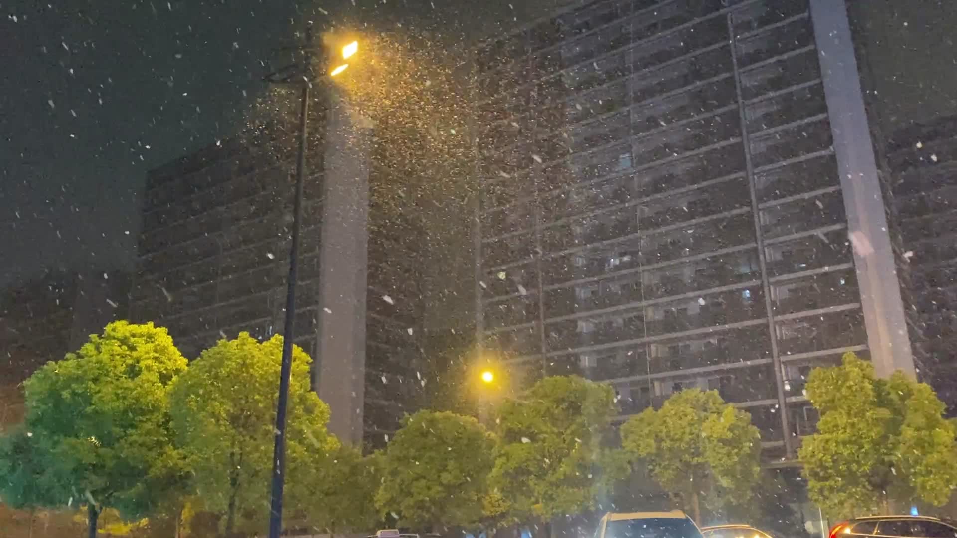 城市夜晚漫天雪花视频的预览图