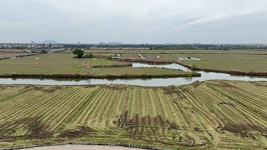 航拍南京湖熟现代农业示范园区视频的预览图