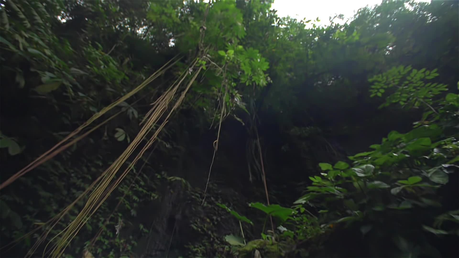 山间小瀑布的跟踪镜头视频的预览图