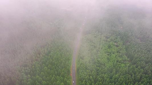 航拍乌兰布统大草原林海深处的公路视频的预览图