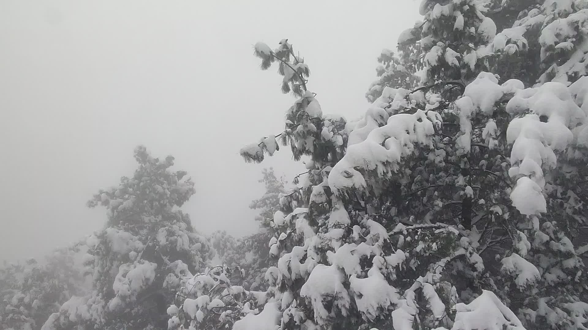 苍山雪景视频的预览图
