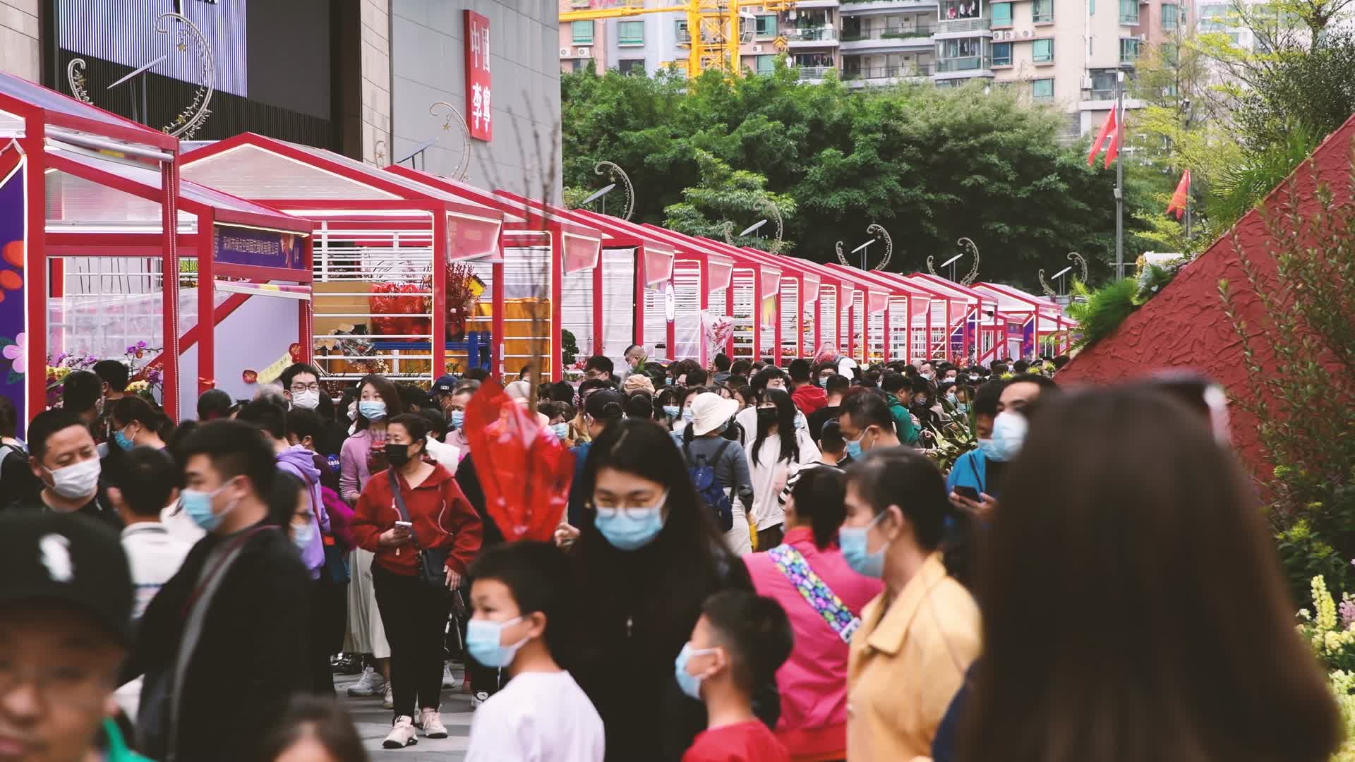 4K深圳春节花市视频的预览图