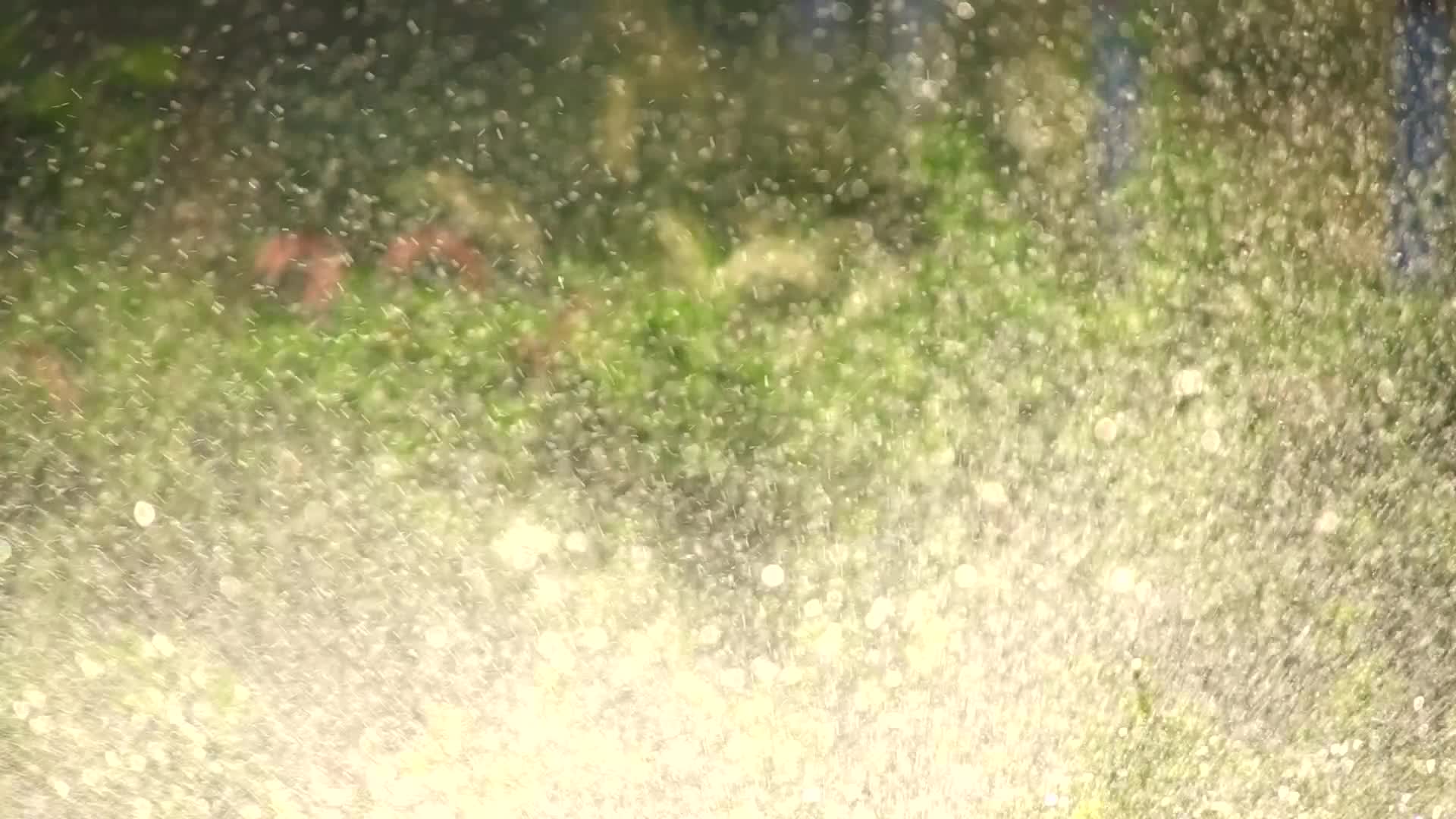 喷灌滴灌灌溉自动化特写灌溉基地视频的预览图
