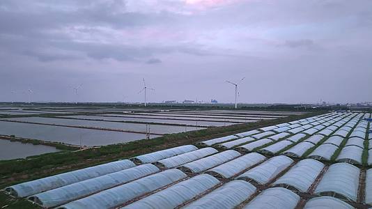 晚霞下的乡村和风力发电机视频的预览图