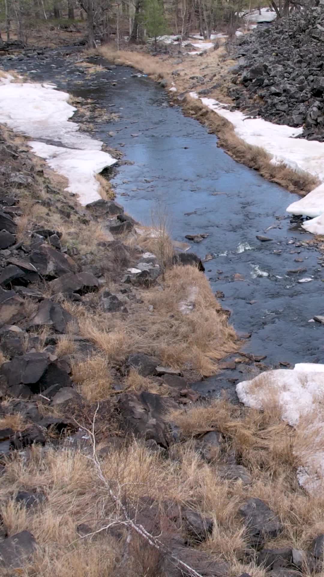 高清竖屏航拍内蒙古阿尔山好森沟小河风光视频的预览图