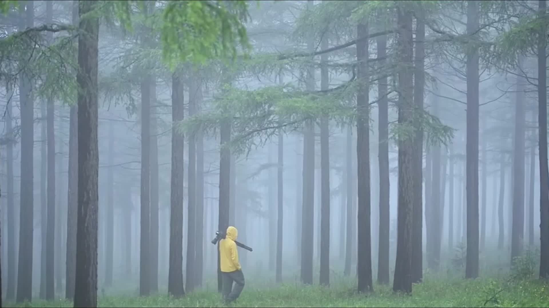 内蒙古乌兰布统大草原雨天探索迷雾森林视频的预览图