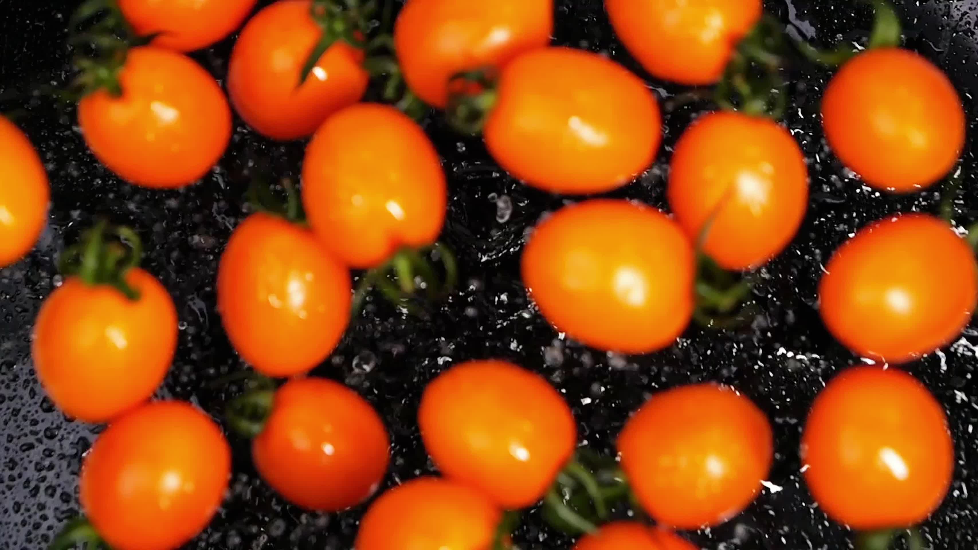 圣女果黄色樱桃小番茄视频的预览图