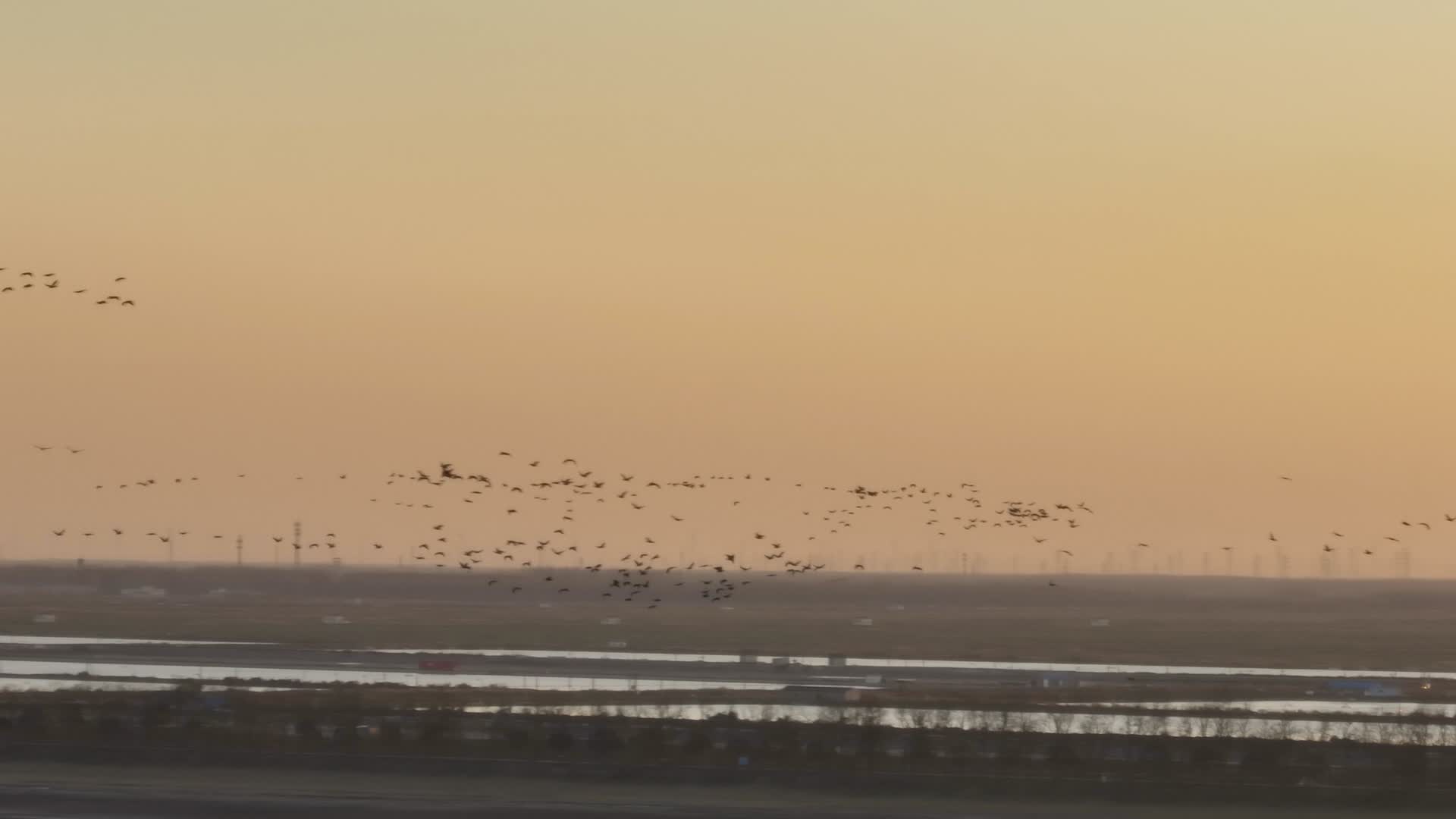航拍落日下的盐城野鹿荡保护区的自然风光视频的预览图