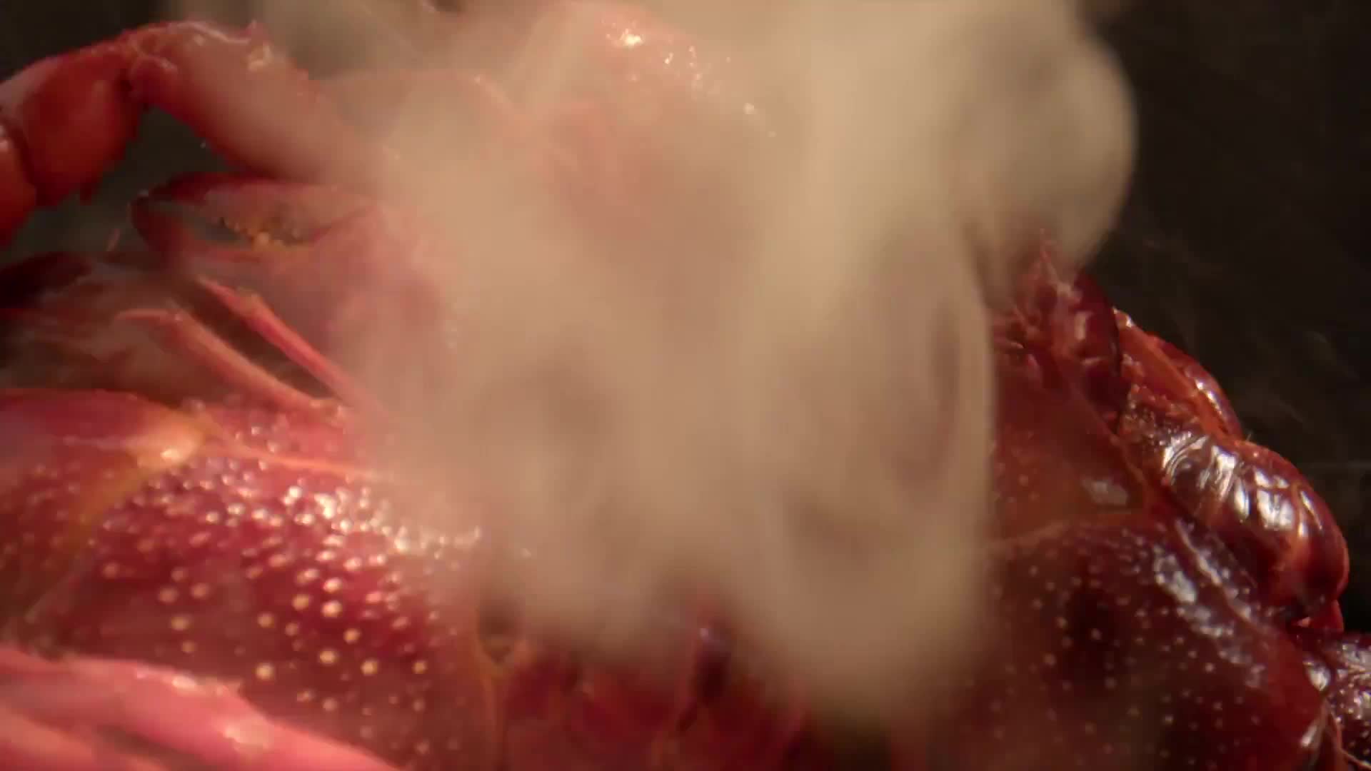 龙虾美食烹饪高清实拍背景视频视频的预览图