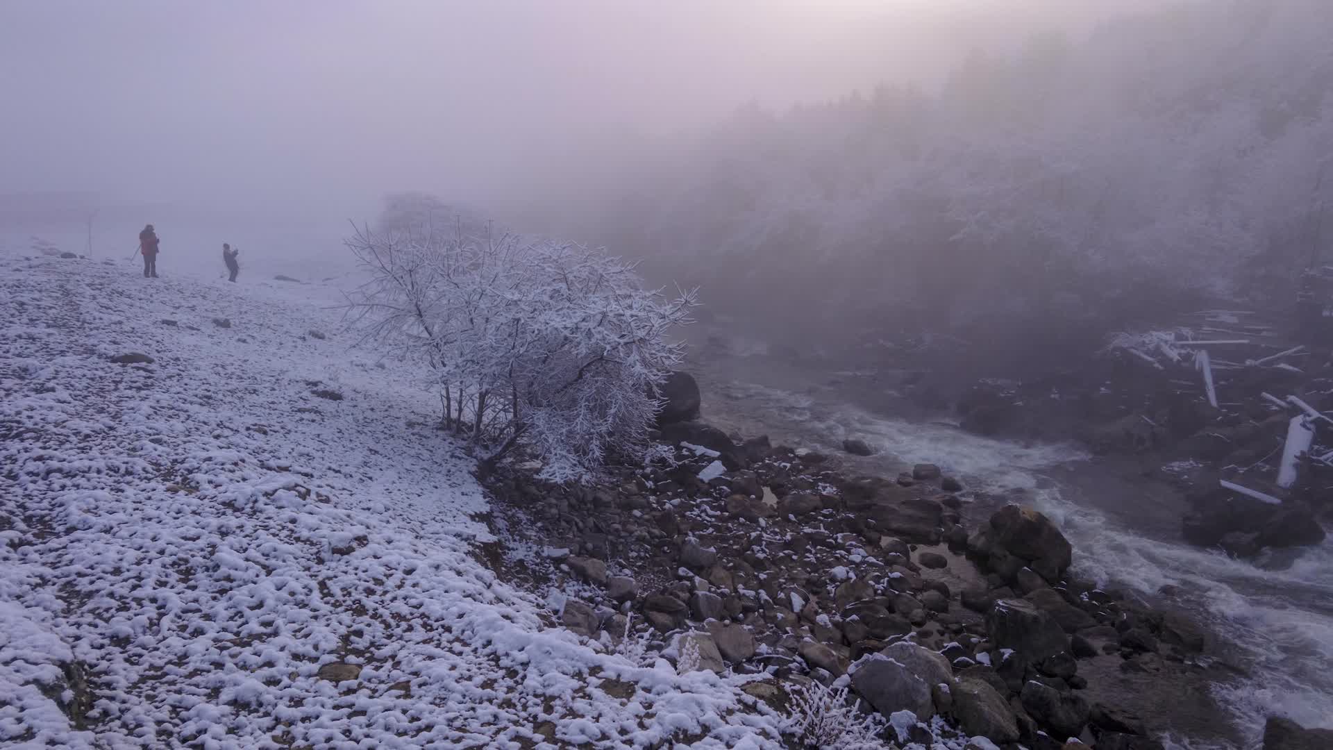 4K延时拍摄林芝鲁朗林海雾凇美景视频的预览图