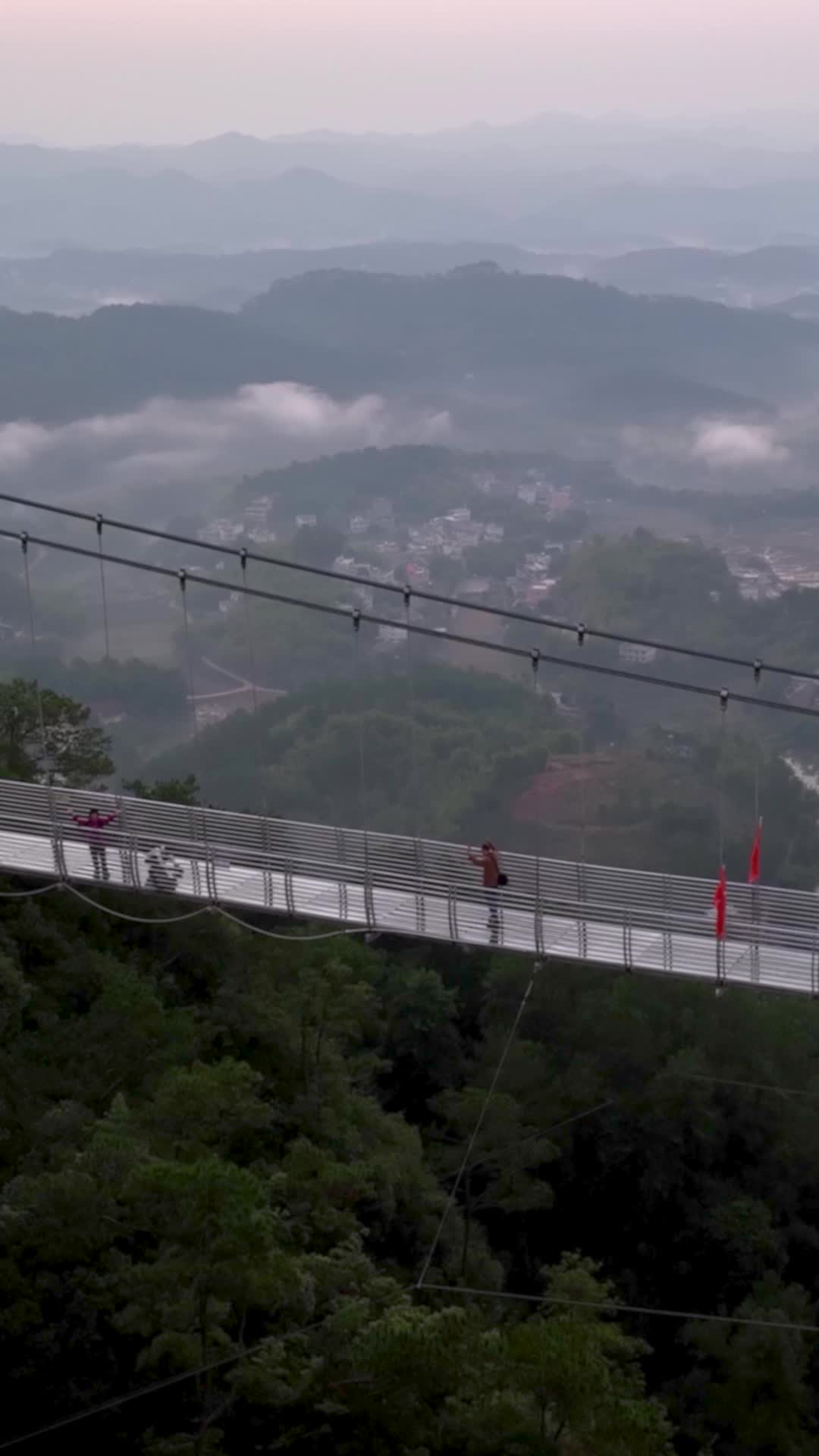 高清竖屏航拍桂平石表山玻璃桥风景视频的预览图