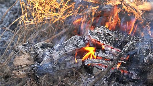 4K烧火焚烧木材枯枝草垛秸秆火焰特写视频的预览图