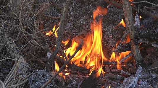4K烧火焚烧木材枯枝草垛秸秆火焰特写视频的预览图