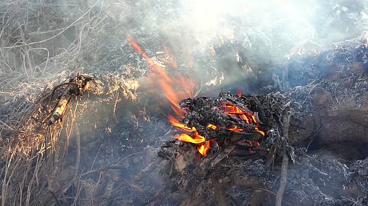 4K环境污染浓烟农村大田焚烧秸秆视频的预览图