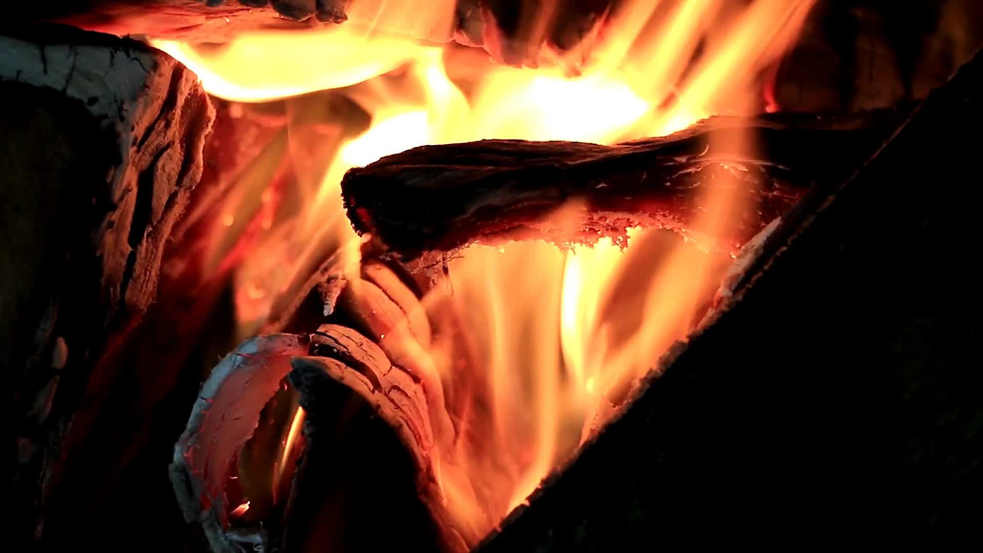 燃烧的篝火视频的预览图