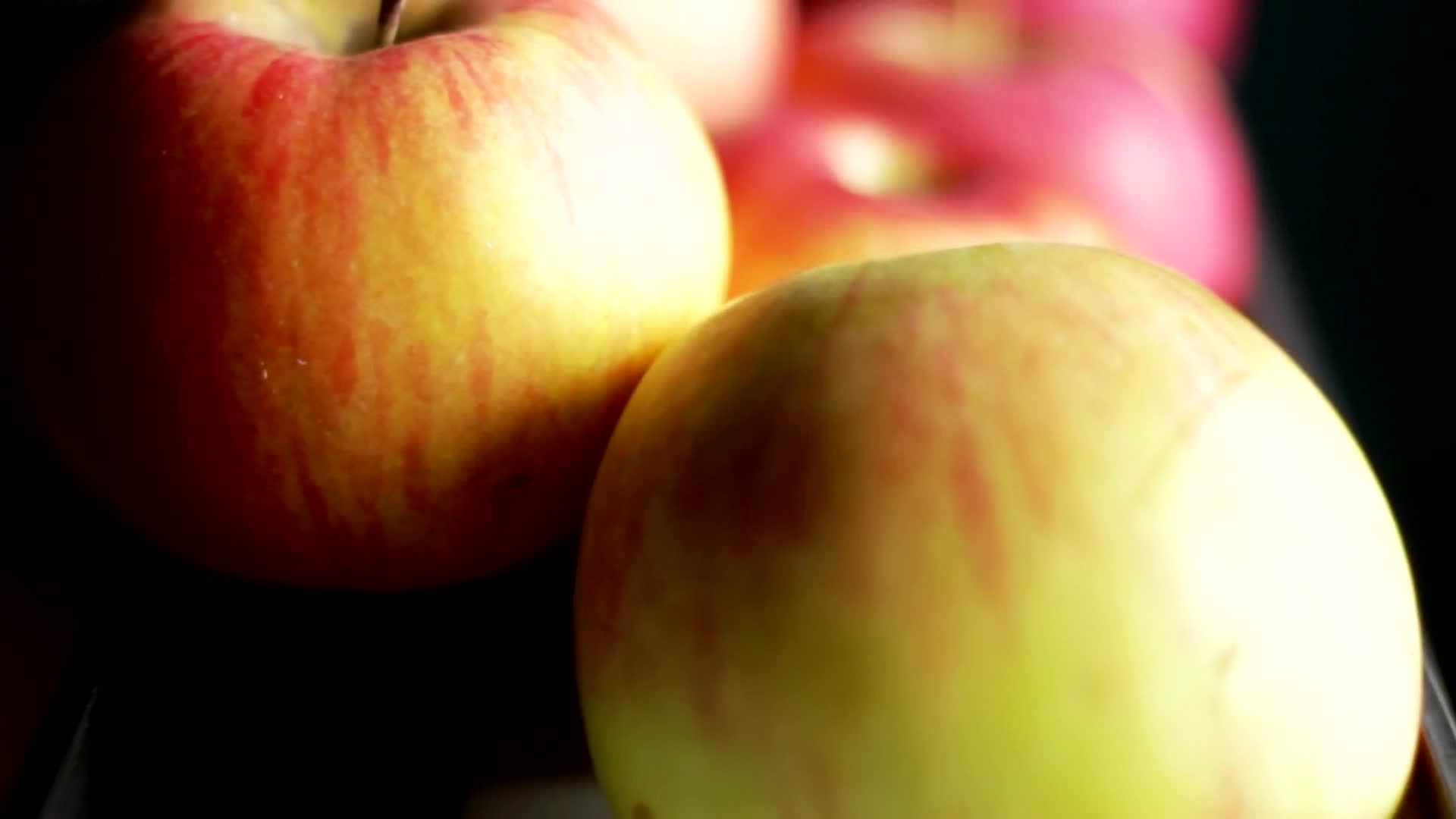 苹果树开花结果水果视频的预览图
